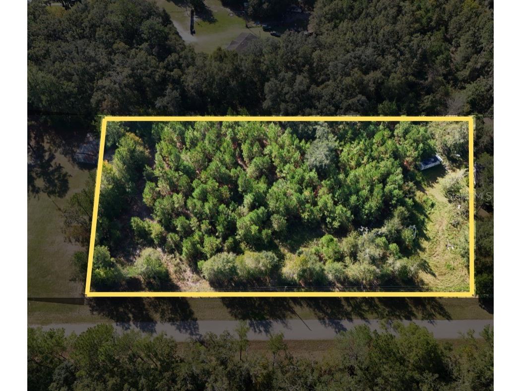 71st Way Lake Butler FL 32054 A4679445 image2