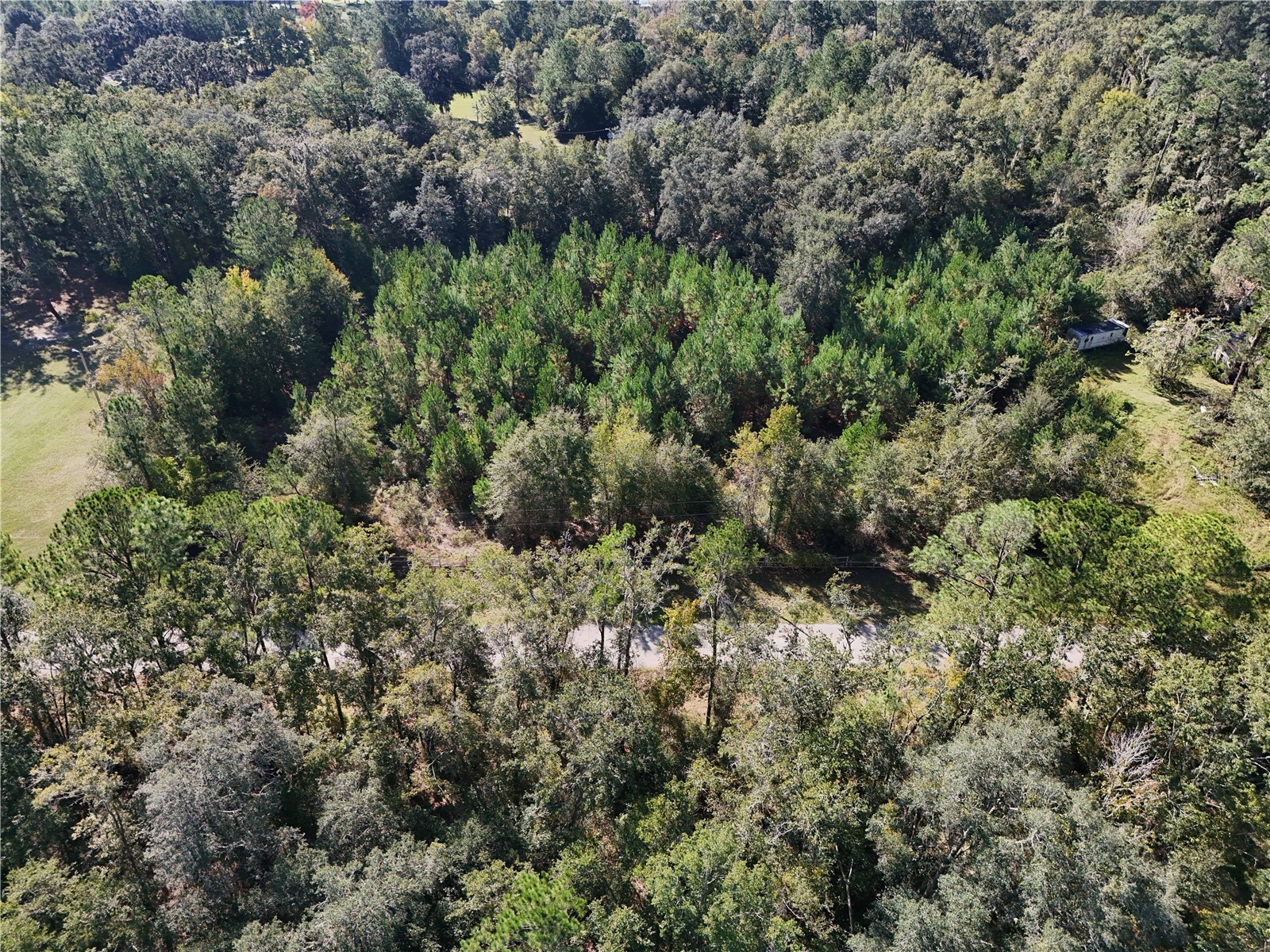 71st Way Lake Butler FL 32054 A4679445 image7