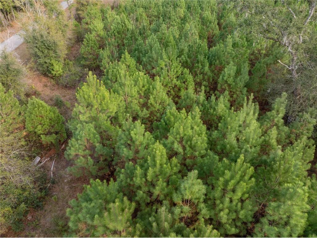 71st Way Lake Butler FL 32054 C7518136 image10