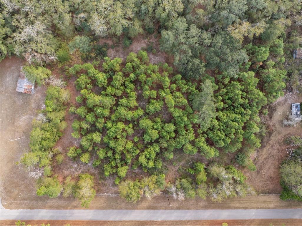 71st Way Lake Butler FL 32054 C7518136 image5