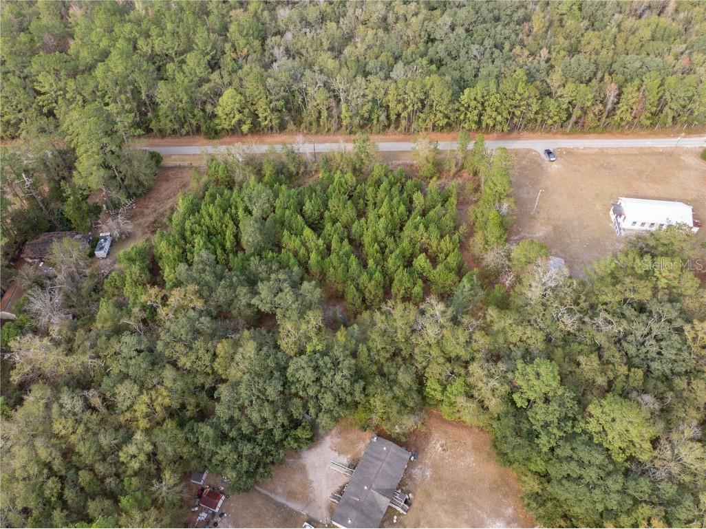 71st Way Lake Butler FL 32054 C7518136 image6