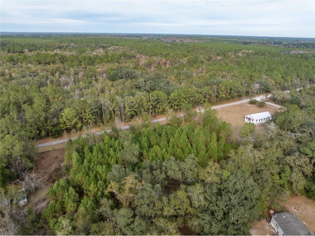 71st Way Lake Butler FL 32054 C7518136 image9