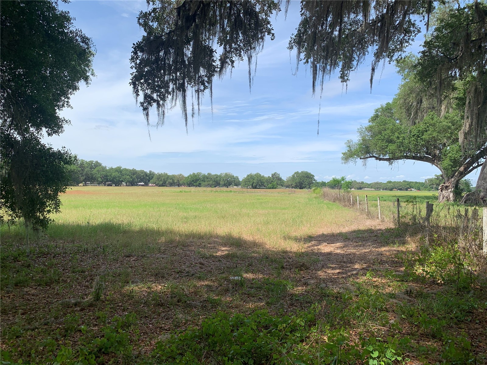727 Webster FL 33597 G5110621 image1