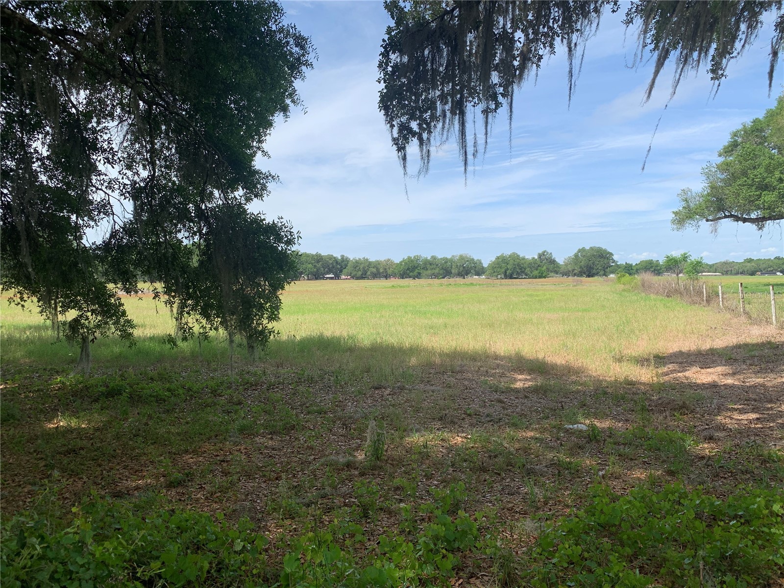 727 Webster FL 33597 G5110621 image2