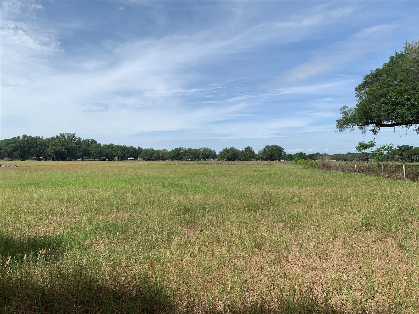 727 Webster FL 33597 G5110621 image3