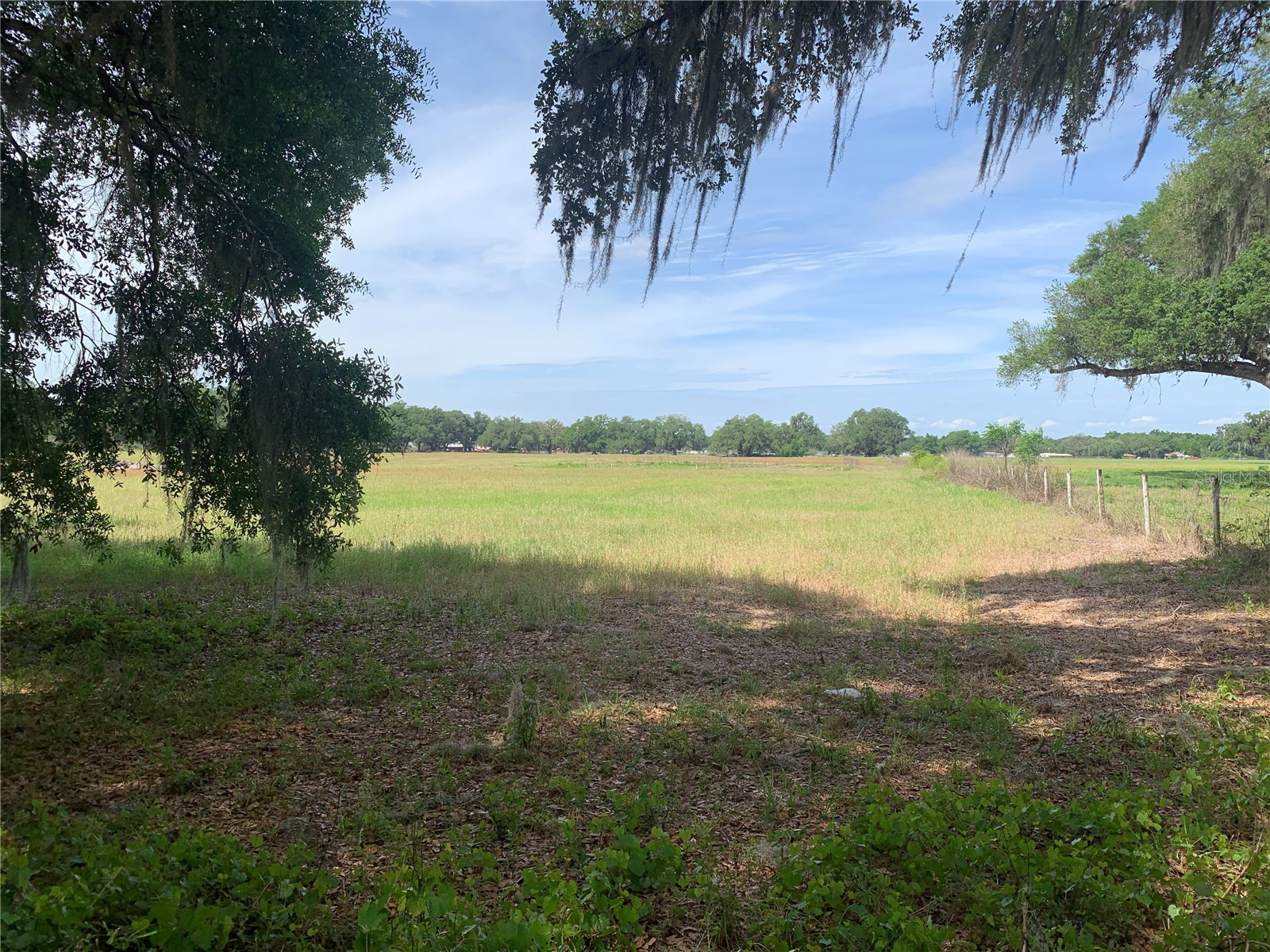 727 Webster FL 33597 G5110621 image4