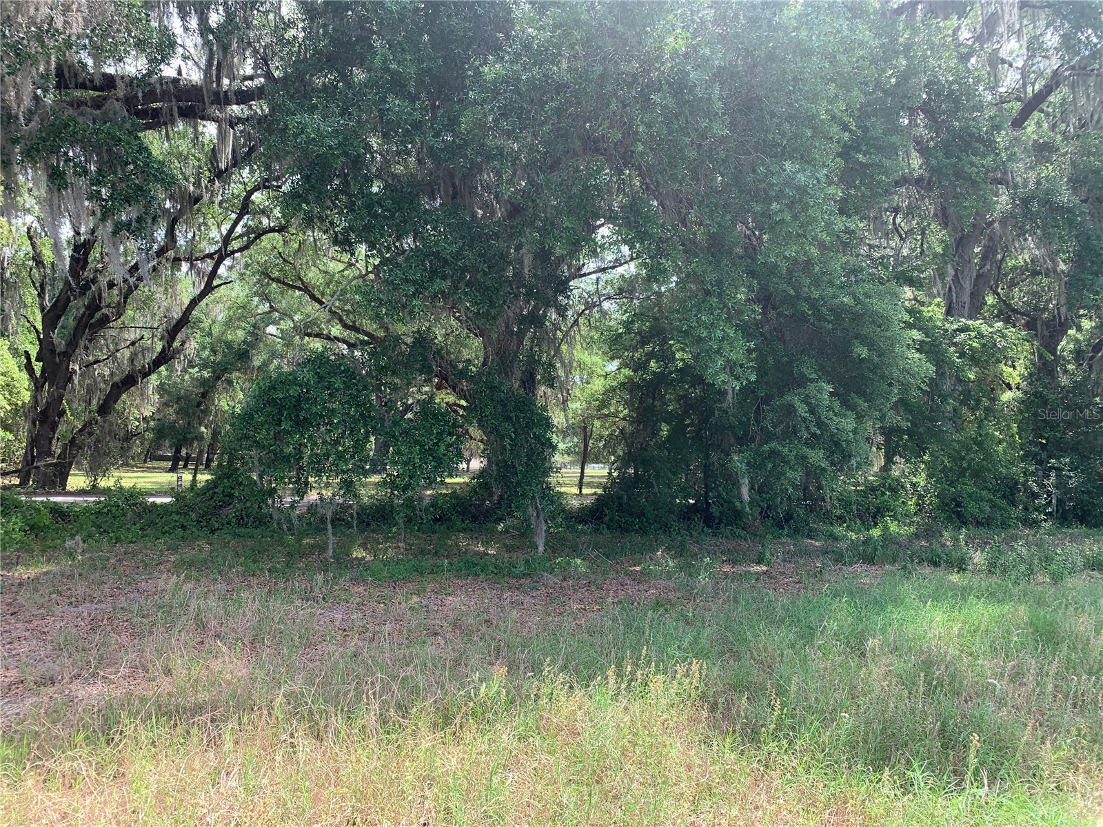 727 Webster FL 33597 G5110621 image5
