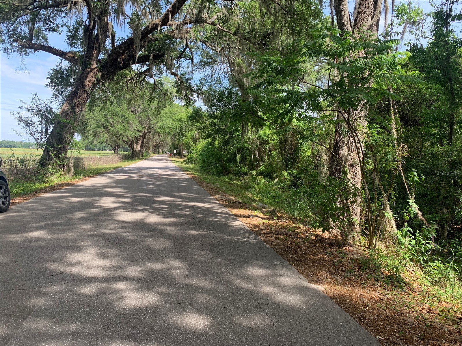727 Webster FL 33597 G5110621 image6