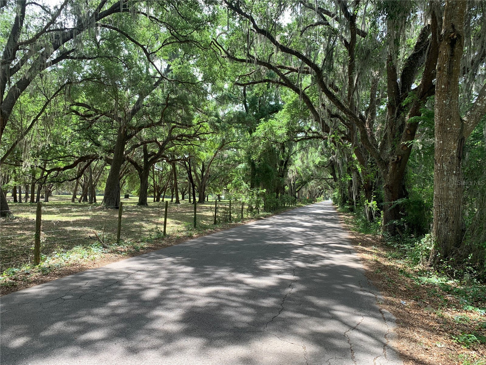 727 Webster FL 33597 G5110621 image7
