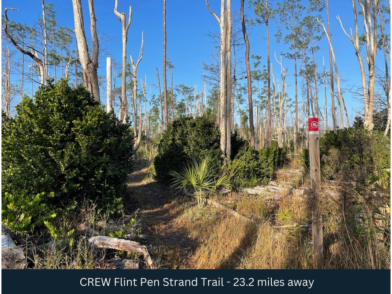 72nd Avenue NE Naples FL 34120 TB8484826 image12