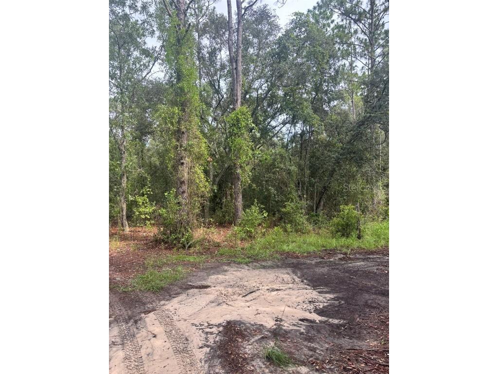 72nd Place NE Bronson FL 32621 GC532252 image1