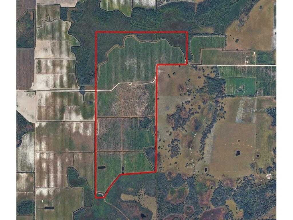 73rd Avenue E Myakka City FL 34251 C7519141 image1