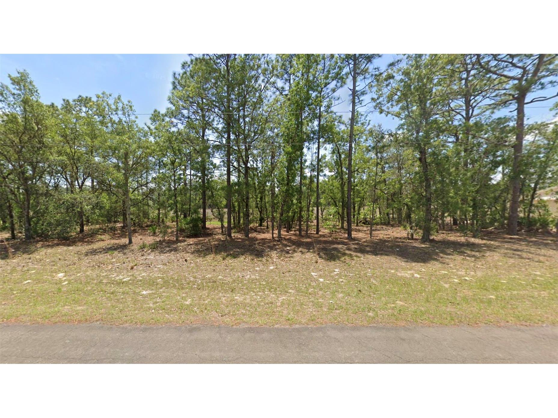 764 W Glenhaven Dr Dunnellon FL 34434 OM723779 image1