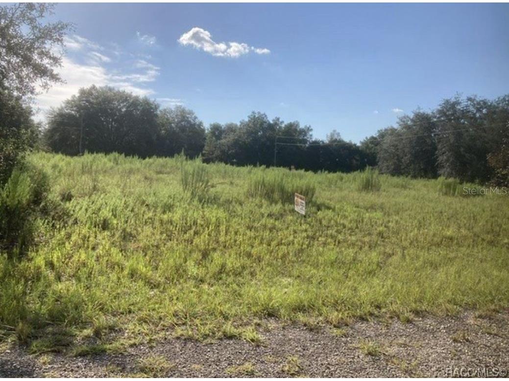 7692 N Fisher Trrace Citrus Springs FL 34434 O6349689 image1