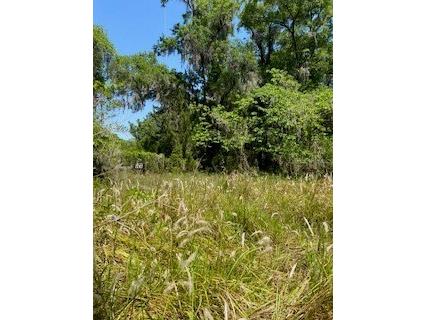 3805 NE 77th Street NE Ocala FL 34478 OM699205 image1