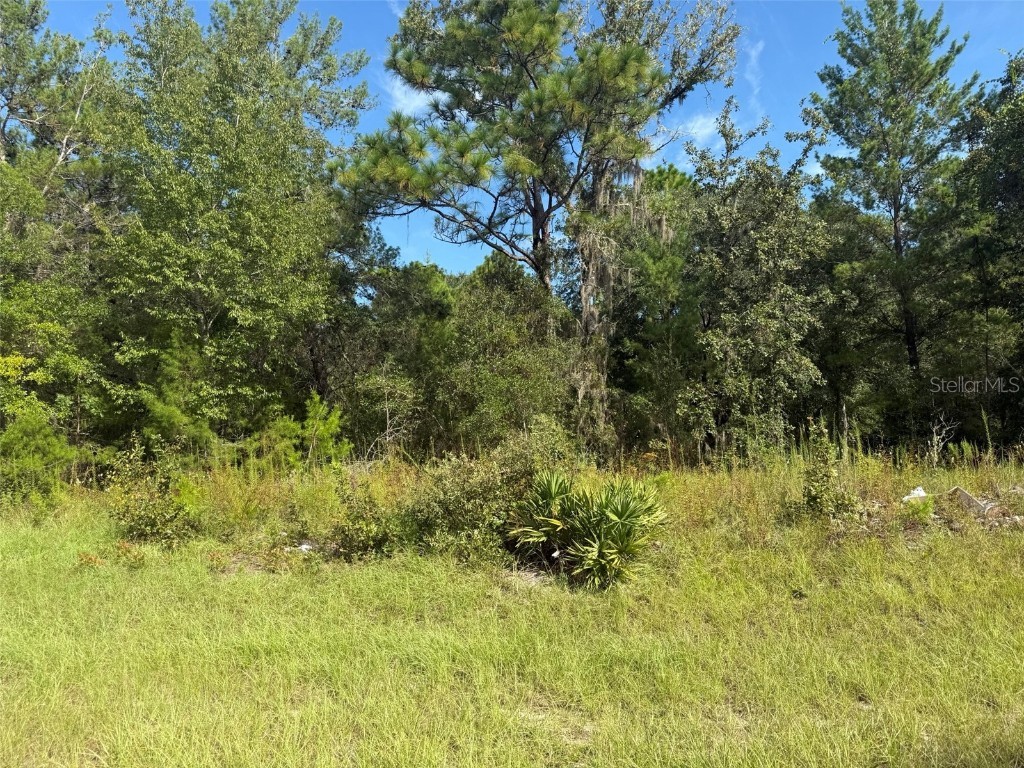 79th Terrace Road Dunnellon FL 34432 OK225507 image1