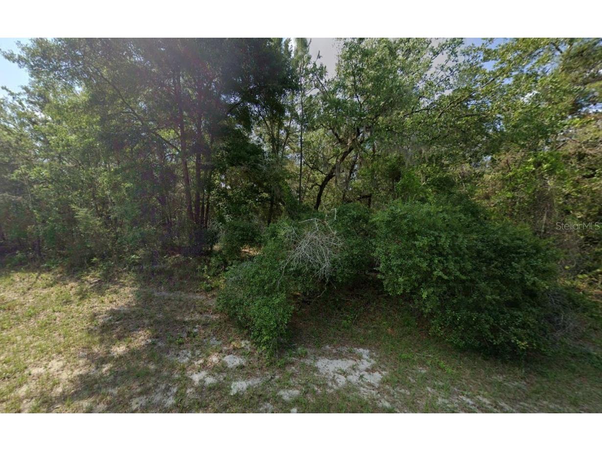 79th Terrace Road Dunnellon FL 34432 OK225507 image5