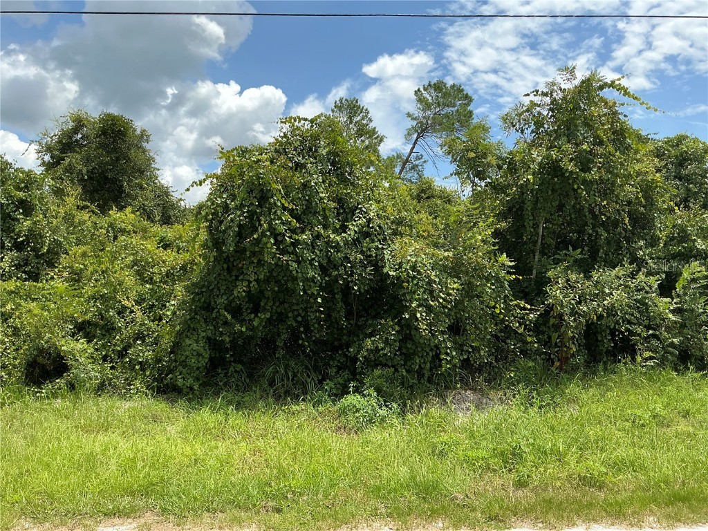 7th Avenue Deland FL 32724 OM684166 image1