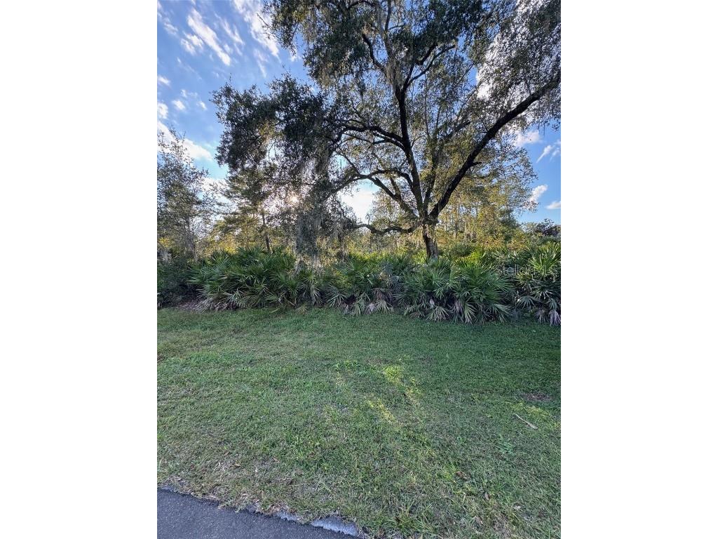 7th Avenue Deland FL 32724 O6359163 image1