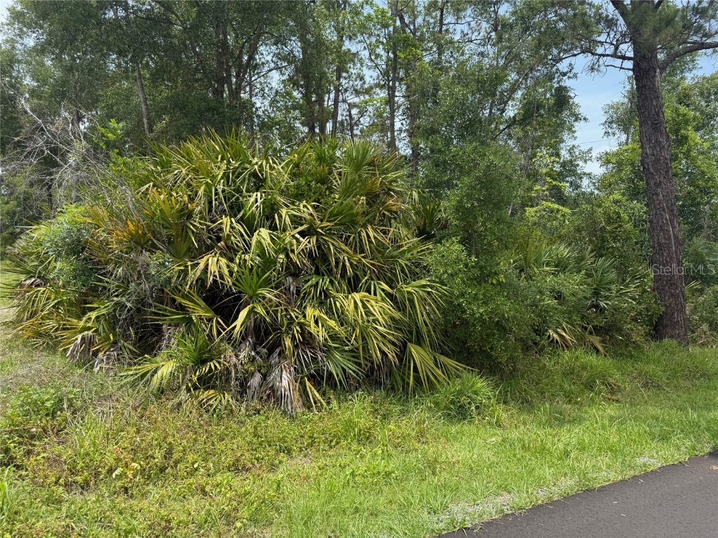 7th Avenue Deland FL 32724 V4943050 image1