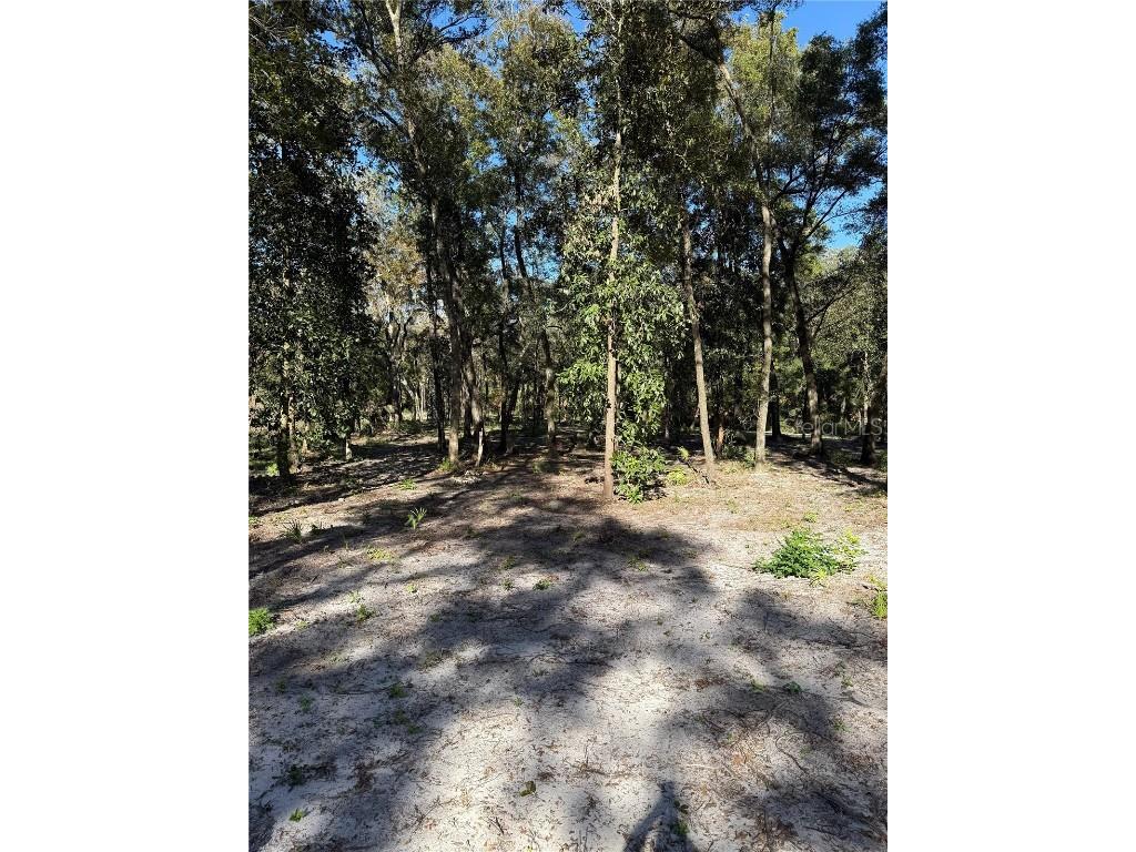 7th Place Ocala FL 34482 OM713299 image2