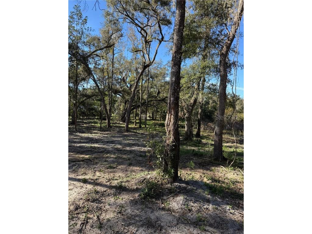 7th Place Ocala FL 34482 OM713299 image4