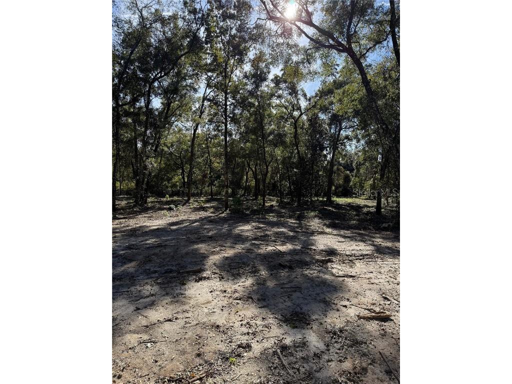 7th Place Ocala FL 34482 OM713299 image5