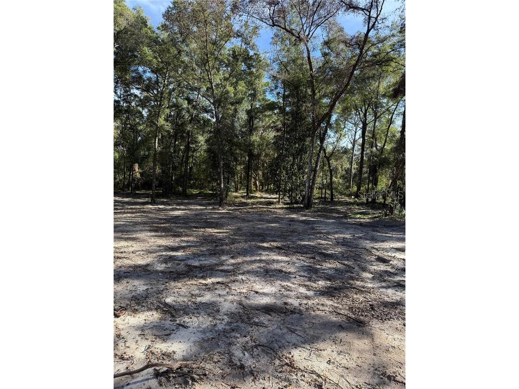 7th Place Ocala FL 34482 OM713299 image6