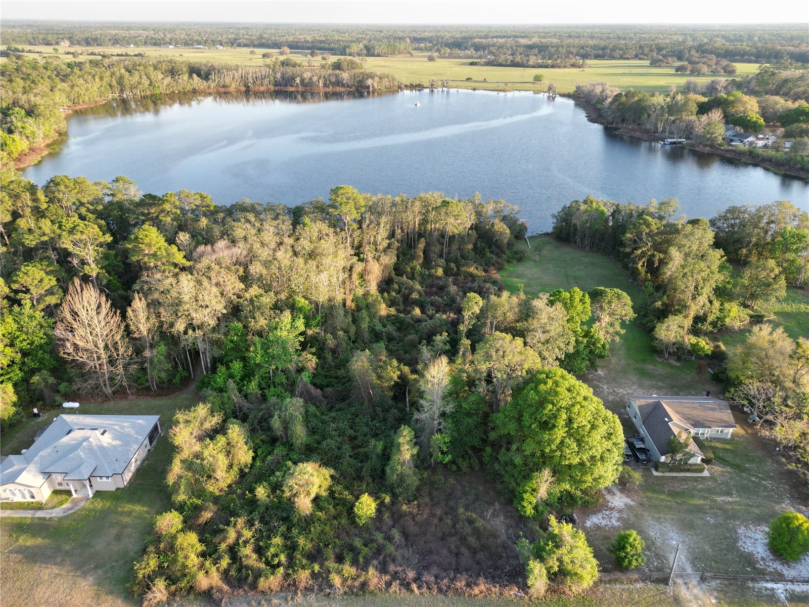 #8 Mitchel Way Eustis FL 32726 - Bay Lake S5146204 image7