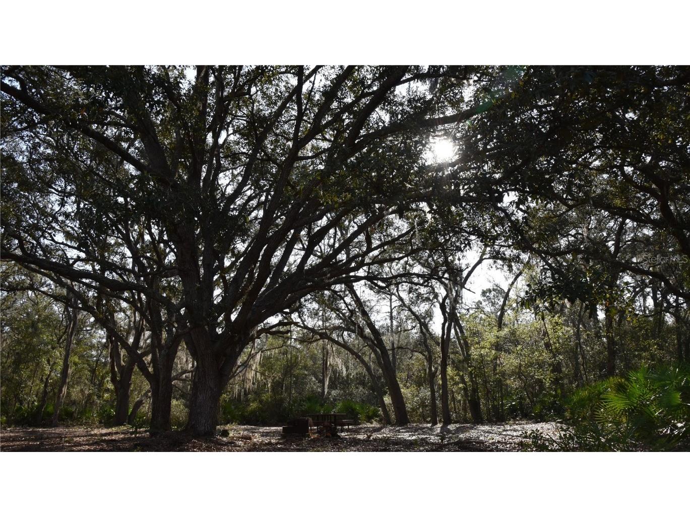 81 Clouds Ave Interlachen FL 32148 OM715398 image1