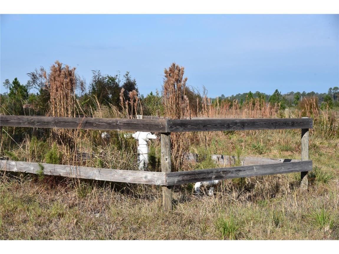 81 Clouds Ave Interlachen FL 32148 OM715398 image10