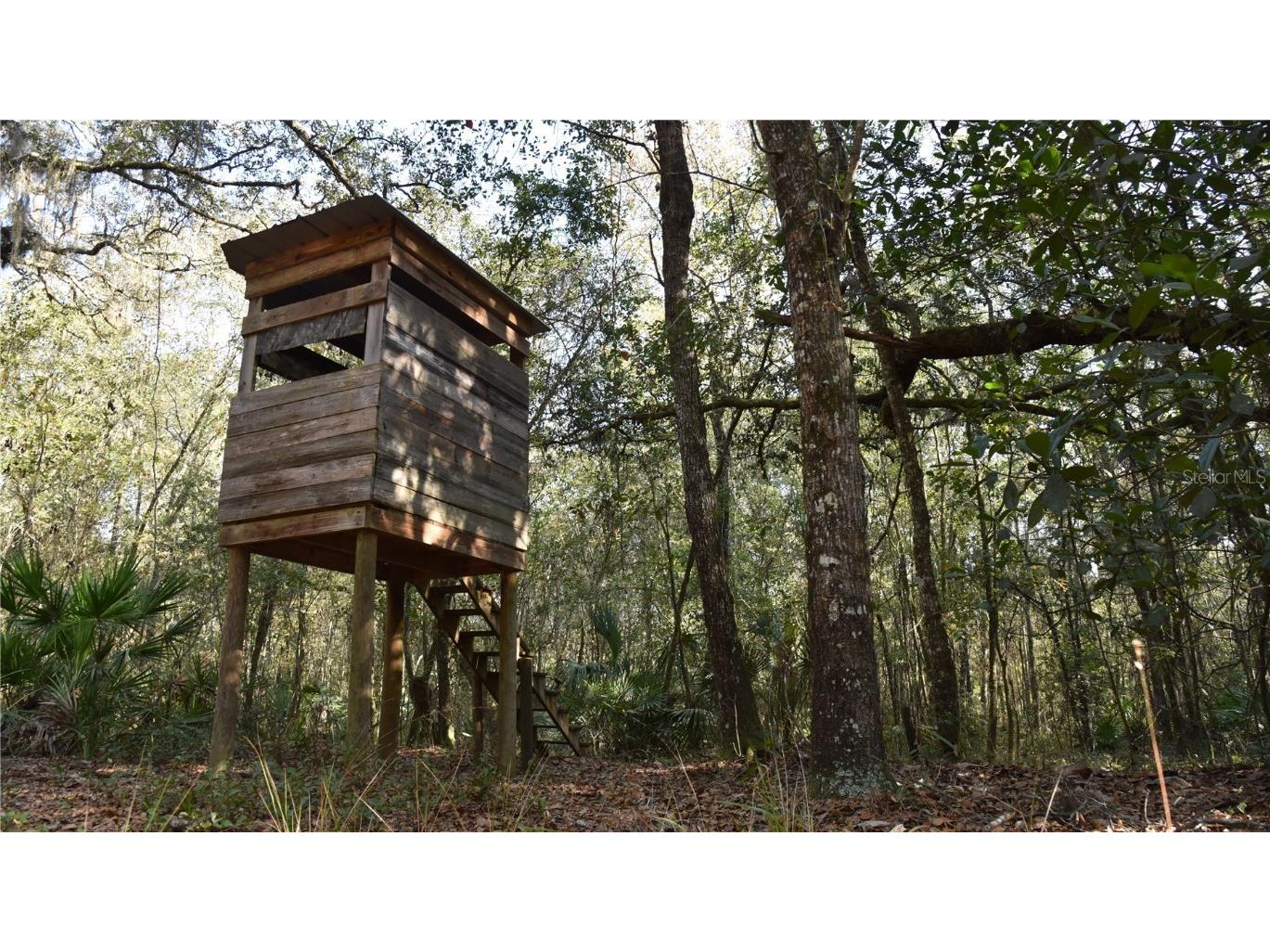 81 Clouds Ave Interlachen FL 32148 OM715398 image11