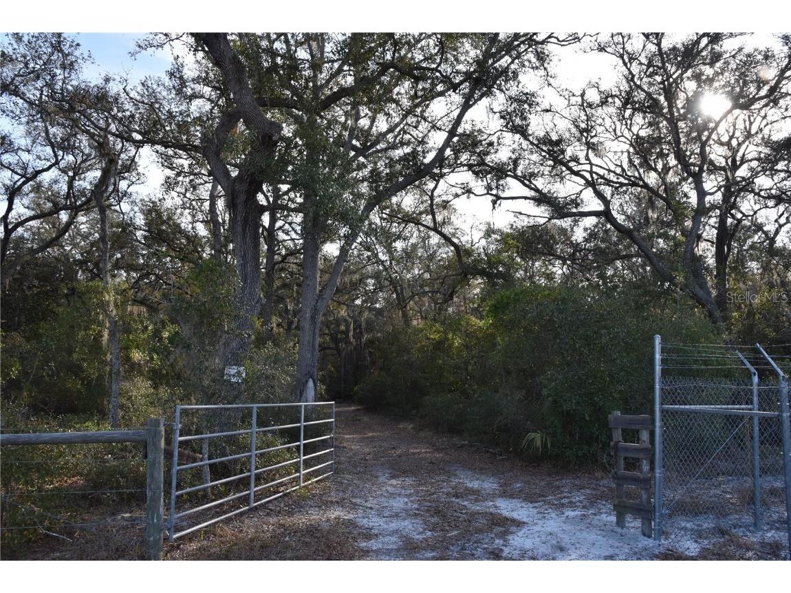 81 Clouds Ave Interlachen FL 32148 OM715398 image16