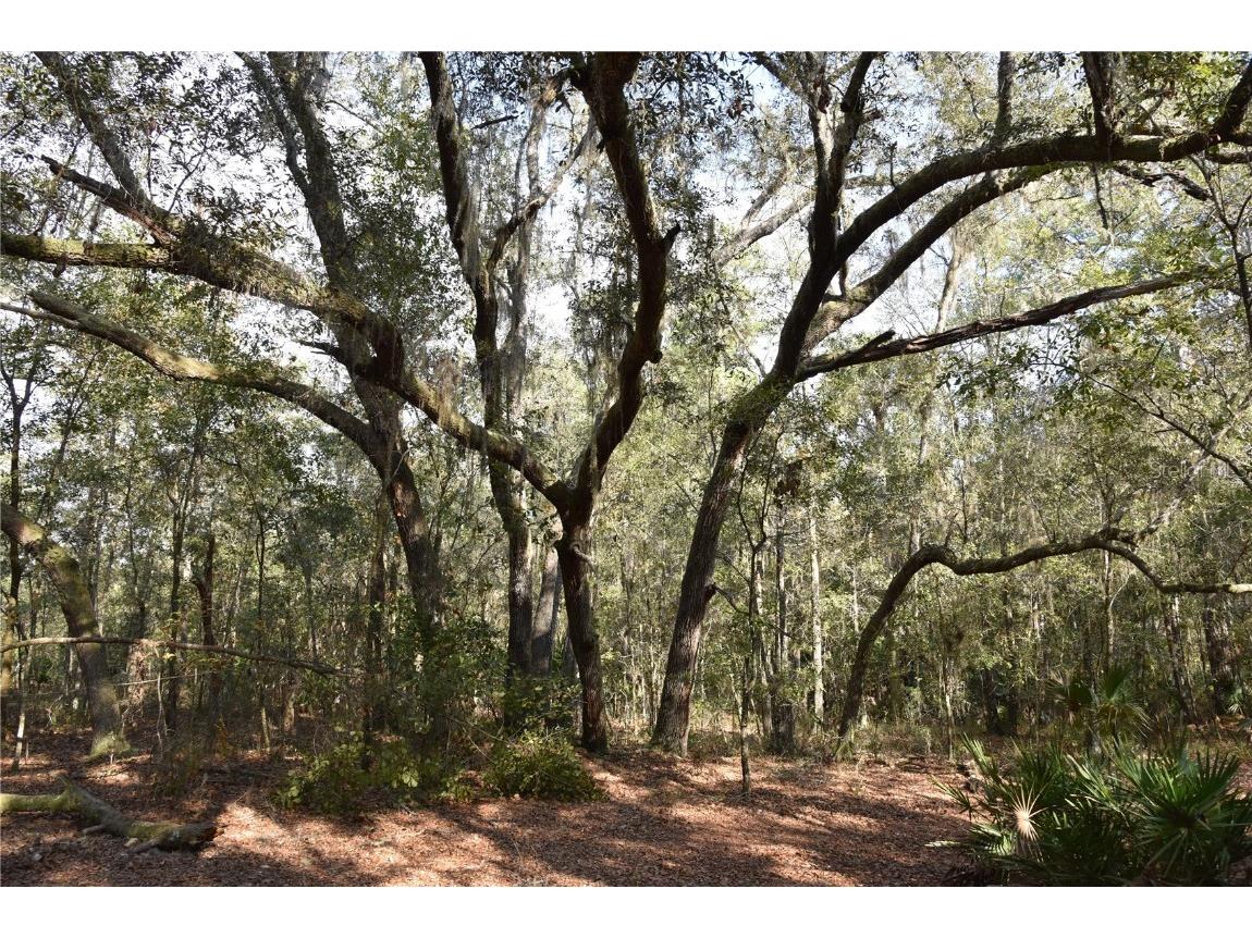 81 Clouds Ave Interlachen FL 32148 OM715398 image18