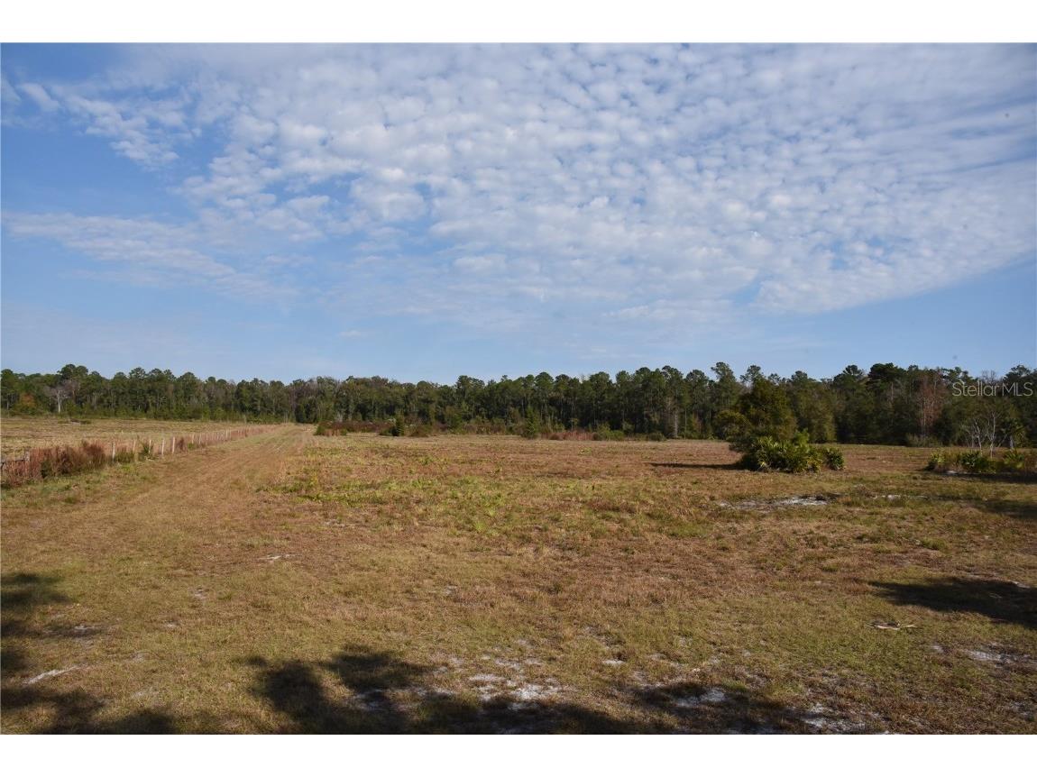 81 Clouds Ave Interlachen FL 32148 OM715398 image2