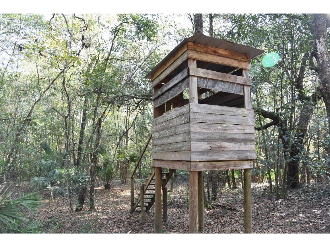 81 Clouds Ave Interlachen FL 32148 OM715398 image22