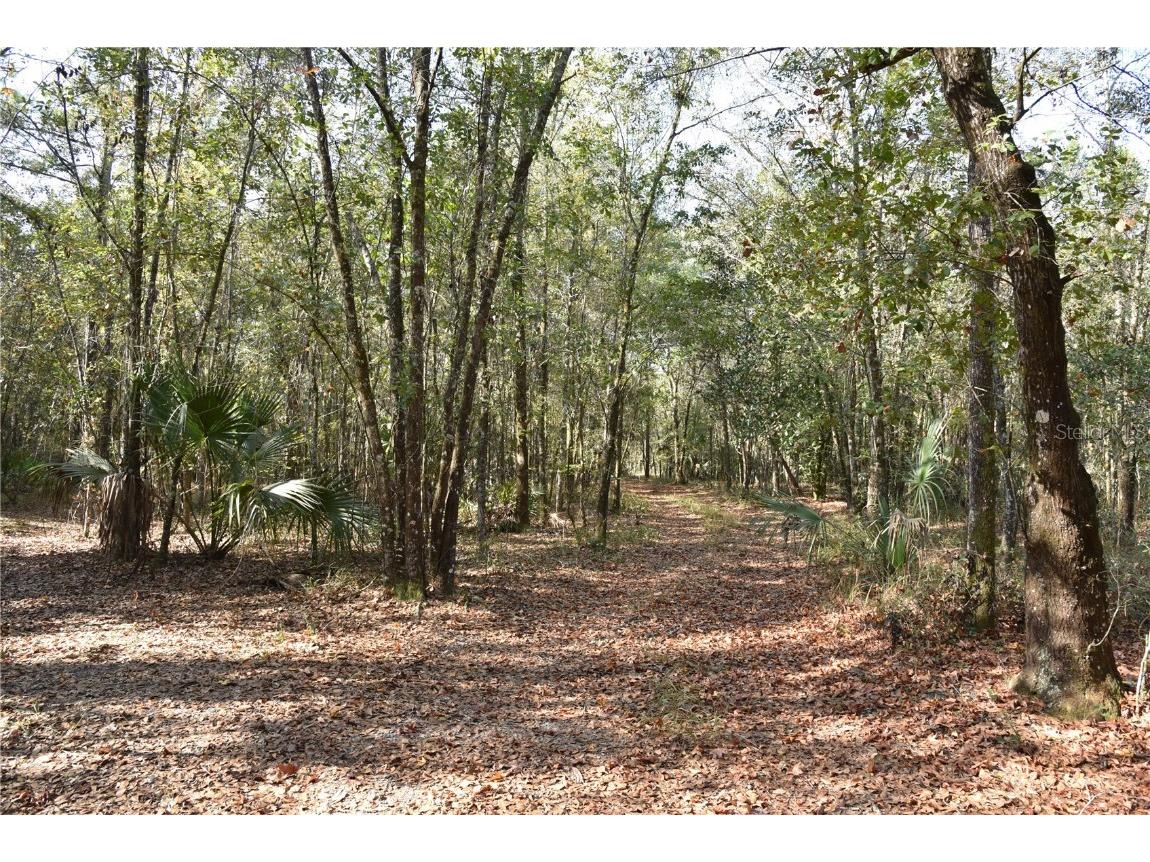 81 Clouds Ave Interlachen FL 32148 OM715398 image23