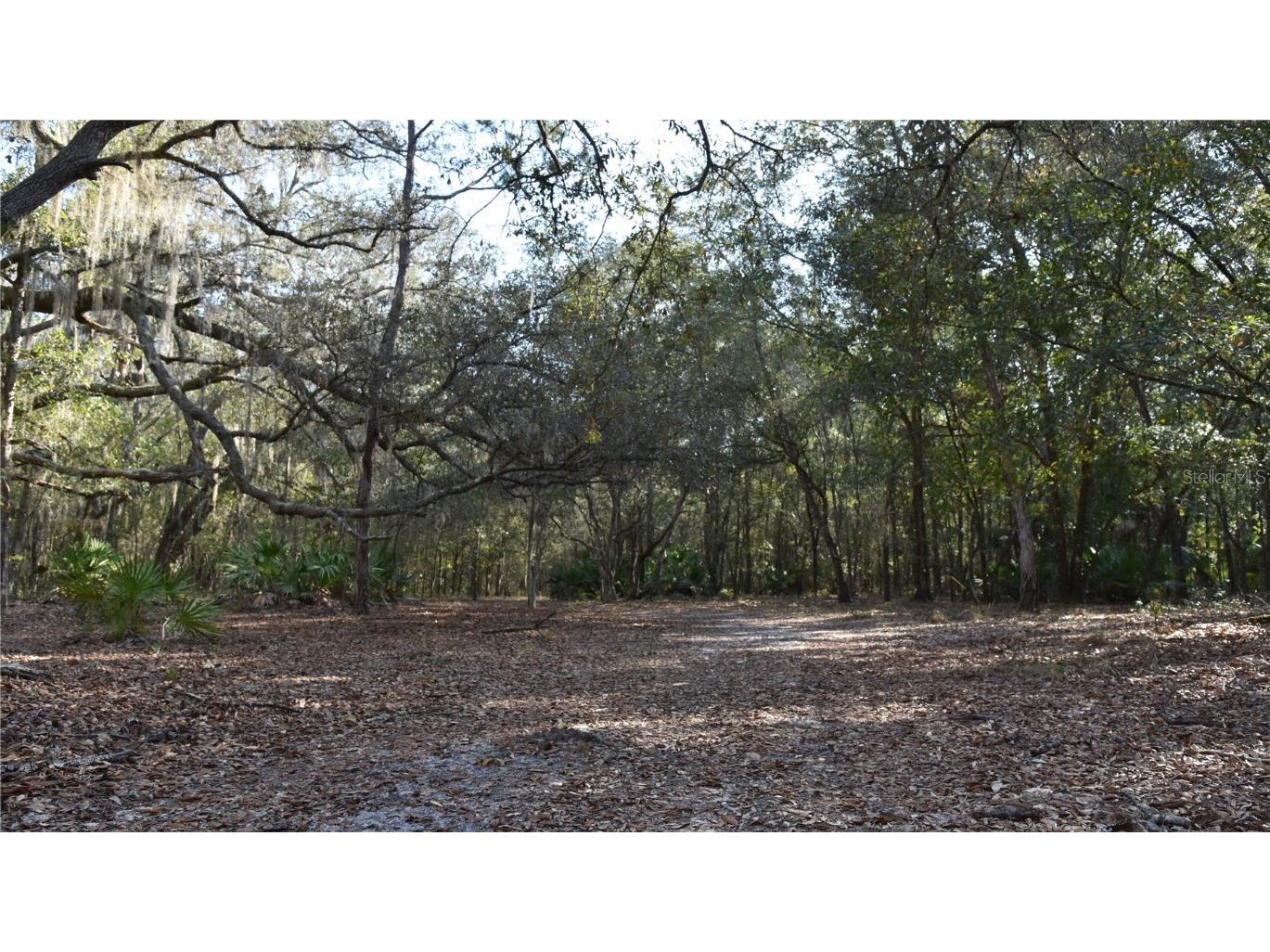 81 Clouds Ave Interlachen FL 32148 OM715398 image24