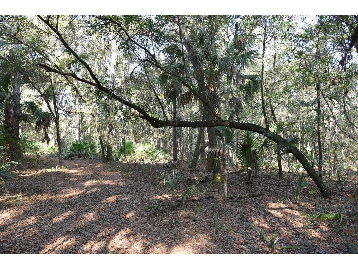 81 Clouds Ave Interlachen FL 32148 OM715398 image25