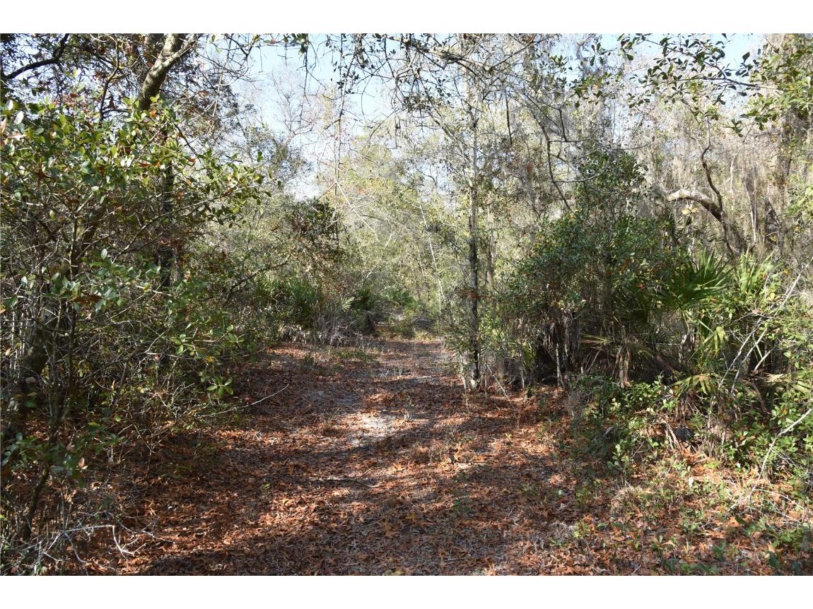 81 Clouds Ave Interlachen FL 32148 OM715398 image26