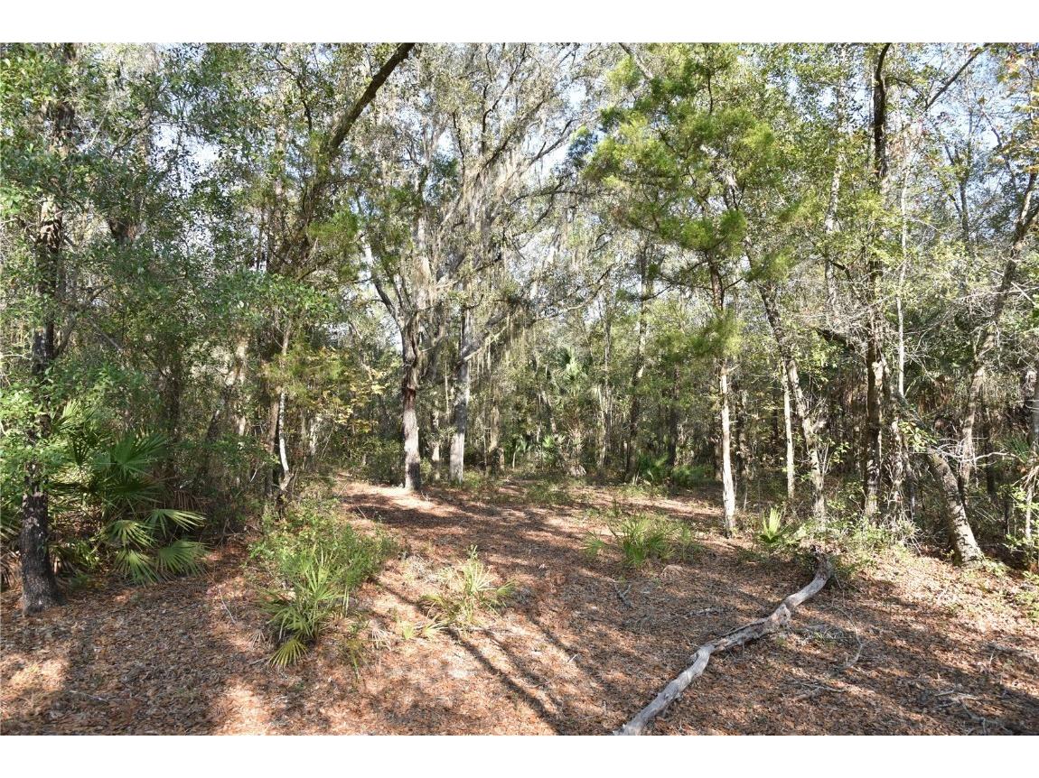 81 Clouds Ave Interlachen FL 32148 OM715398 image27