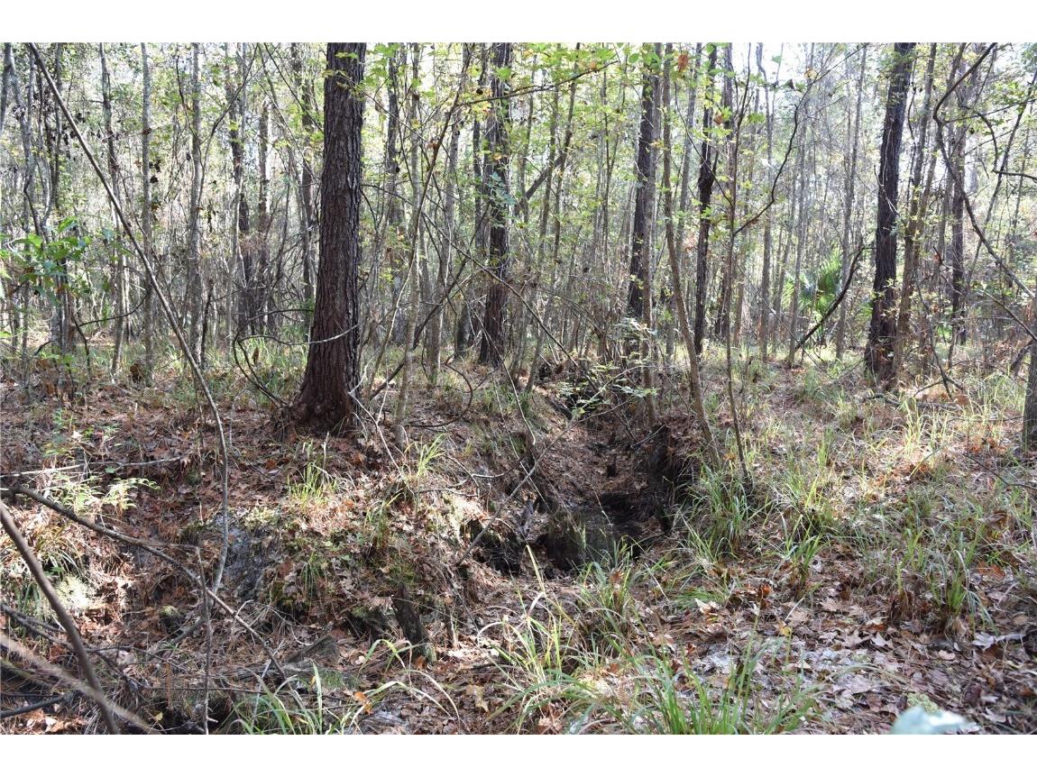 81 Clouds Ave Interlachen FL 32148 OM715398 image29