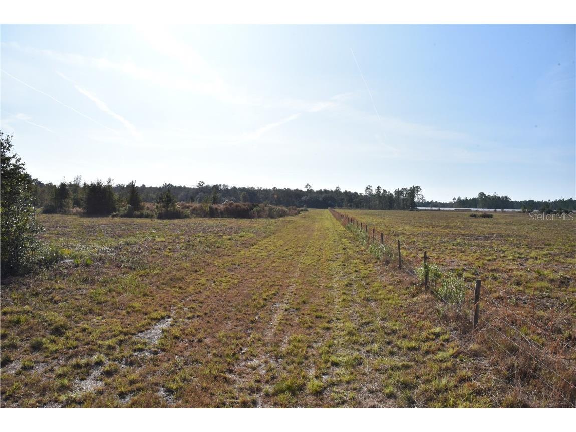 81 Clouds Ave Interlachen FL 32148 OM715398 image3