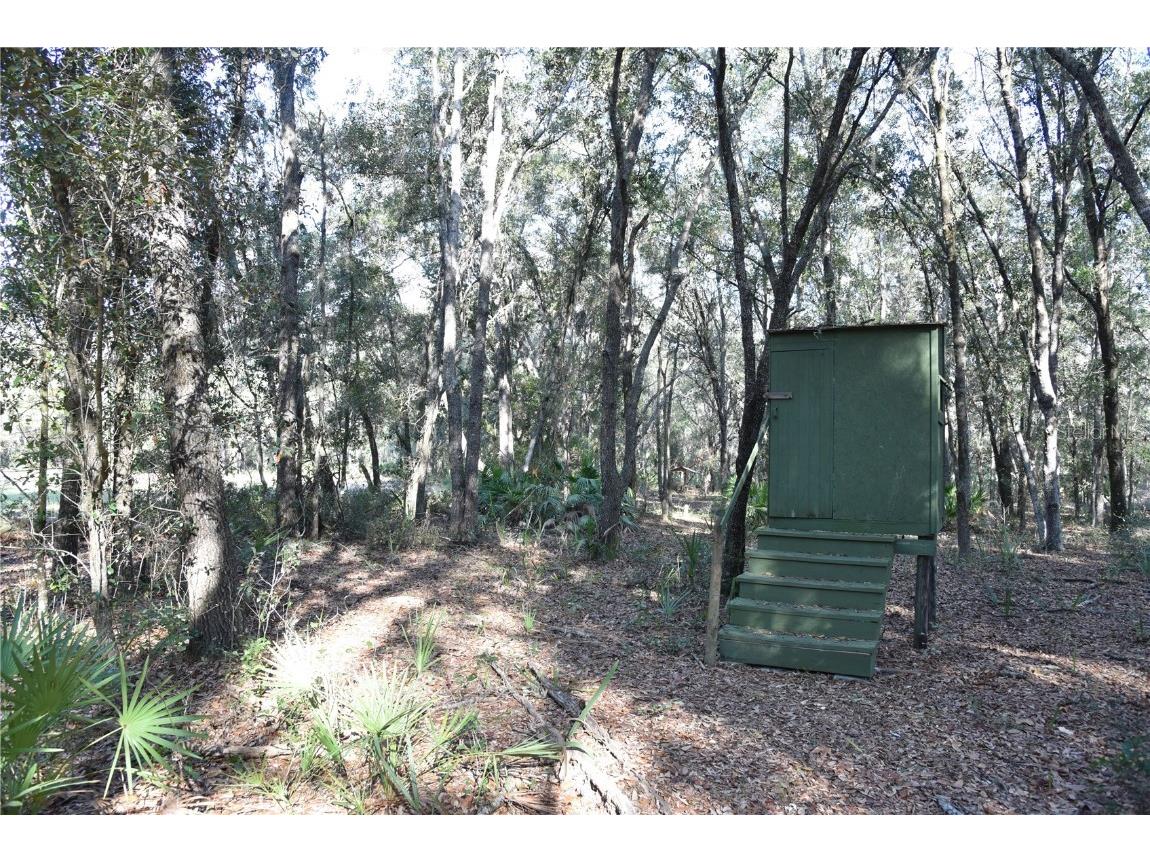 81 Clouds Ave Interlachen FL 32148 OM715398 image30