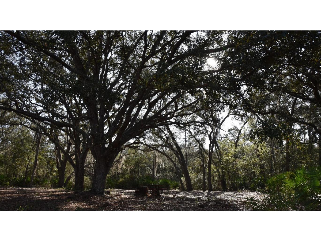 81 Clouds Ave Interlachen FL 32148 OM715398 image31