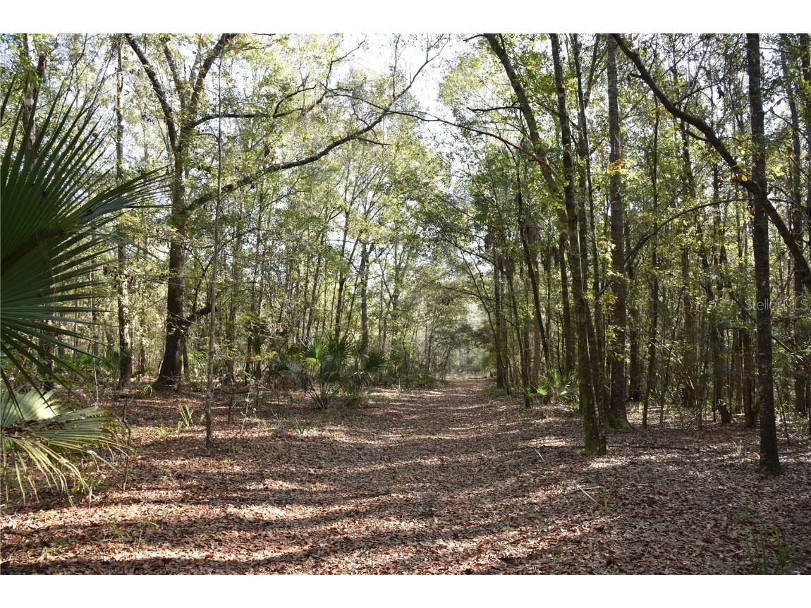 81 Clouds Ave Interlachen FL 32148 OM715398 image32