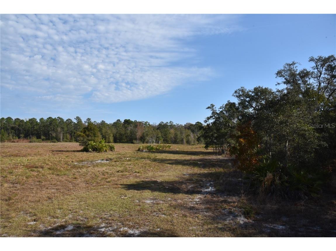 81 Clouds Ave Interlachen FL 32148 OM715398 image35