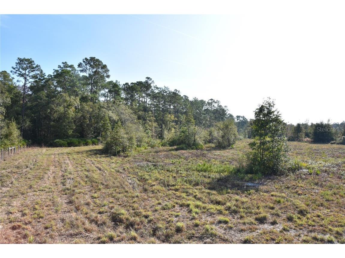 81 Clouds Ave Interlachen FL 32148 OM715398 image36