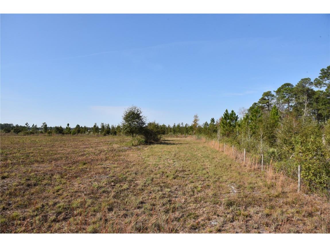 81 Clouds Ave Interlachen FL 32148 OM715398 image37