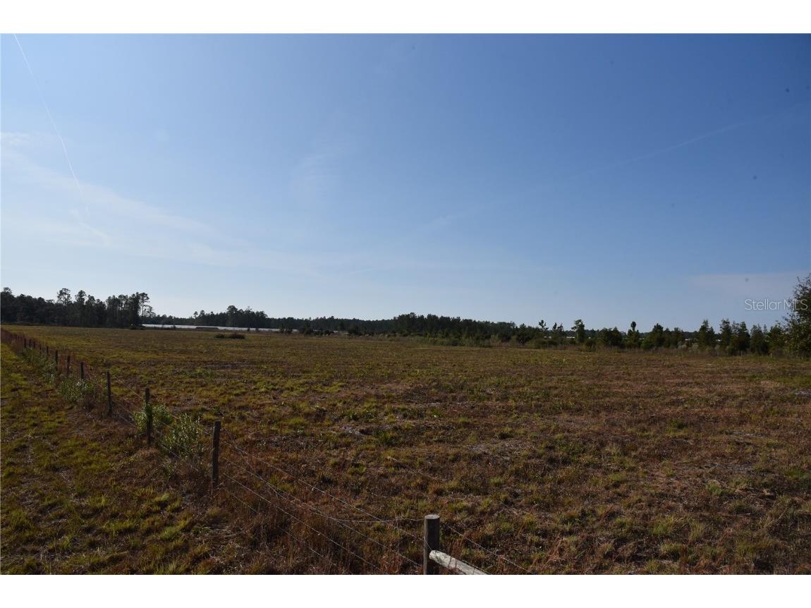 81 Clouds Ave Interlachen FL 32148 OM715398 image38